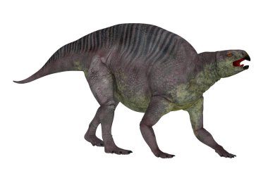 Lotosaurus adentis Çin'Triyas döneminde yaşamış bir otçul poposauroid dinozordu.