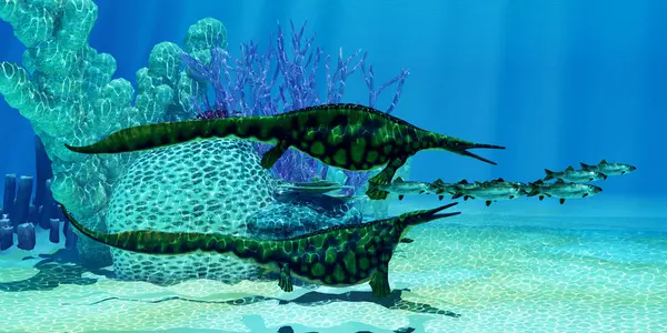 stock image Hupehsuchus was a small genus of marine reptile found in China and lived in the Triassic Period. Two of them chase after a Pacific Herring fish school.