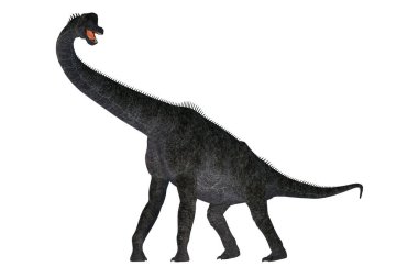 Brachiosaurus Jura döneminde Kuzey Amerika'da yaşayan bir otçul Dashanpu'daki dinozordu.