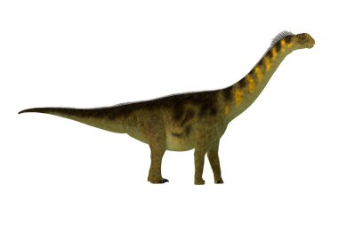 Camarasaurus, Kuzey Amerika'nın Jurassic döneminde yaşamış bir sauropod otçal dinozoruydu..