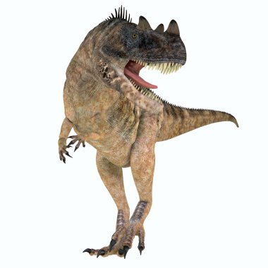 Ceratosaurus, Kuzey Amerika'nın Jura Döneminde yaşamış etobur bir theropod dinozoruydu..
