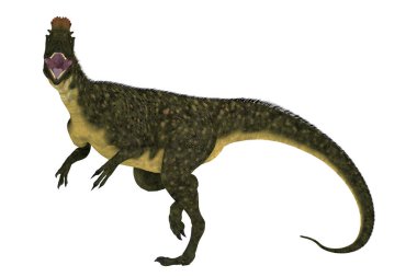 Antartika'da Jura döneminde yaşamış bir büyük theropod etobur dinozor Cryolophosaurus yapıldı.