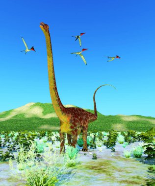 Bir Pterodactylus Pterosaurs sürüsü Jurassic Dönemi boyunca bir Diplodocus Titanosaur Sauropod dinozorunun üzerinden uçar..