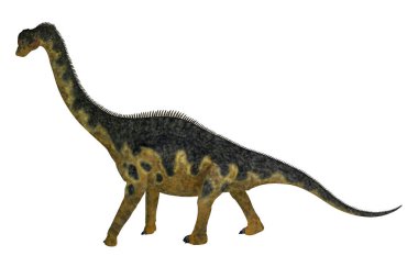 Europasaurus, Almanya, Europe Jura döneminde yaşamış bir Dashanpu'daki otçul dinozordu.