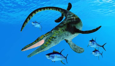 Yellowfin Tuna scatter as a Tylosaurus swims after them during the Cretaceous Period. clipart