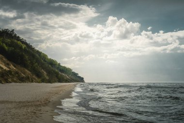 Sakin bir plaj sahnesi bulutlu bir günde başlar, yemyeşil ağaçlarla süslenir, arka planda zarif bir şekilde durur, barışçıl bir atmosfer yaratır.
