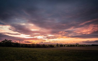 Witnessing a breathtaking sunset over a vast field adorned with majestic trees beautifully standing in the foreground adds to the scenerys charm clipart