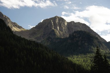 Göz kamaştırıcı arkaplan manzarasında parlak, mavi bir gökyüzüne kurulmuş canlı yeşil ağaçlarla dolu görkemli bir dağ.