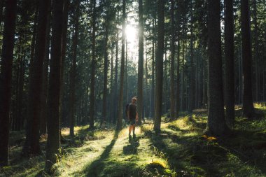 Bir adam güneşin parladığı ve yemyeşil ağaçların arasından süzüldüğü güzel bir ormanda rahatça yürüyor.