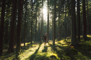 Bir adam güneşin parladığı ve yemyeşil ağaçların arasından süzüldüğü güzel bir ormanda rahatça yürüyor.