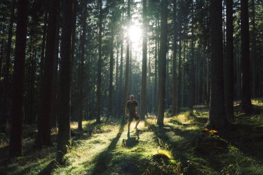 Bir adam güneşin parladığı ve yemyeşil ağaçların arasından süzüldüğü güzel bir ormanda rahatça yürüyor.