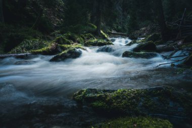 Güzel bir nehir zarif bir şekilde yemyeşil bir ormanın içinden akıyor, etrafında güzel ve huzurlu bir doğal manzara yaratıyor.