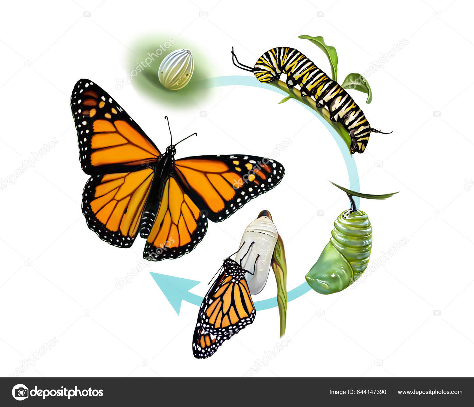 Desenho realista - O gato e a borboleta! The cat and the butterfly!   Desenhos de animais realistas, Desenho realista, Desenhos realistas
