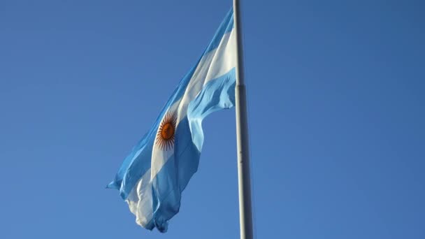 Argentinsk Flagg Viftande Mot Blå Himmel — Stockvideo