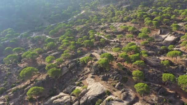 Besparmak Mountain Range Latmos Pines Cliffs Aerial View Mugla Turkey — Vídeo de stock