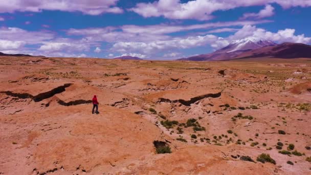 旅行者看着奥尔埃勒格火山和岩石的形成 玻利维亚 蓝天与云彩 空中景观 轨道时钟方向 孤身一人旅行 — 图库视频影像