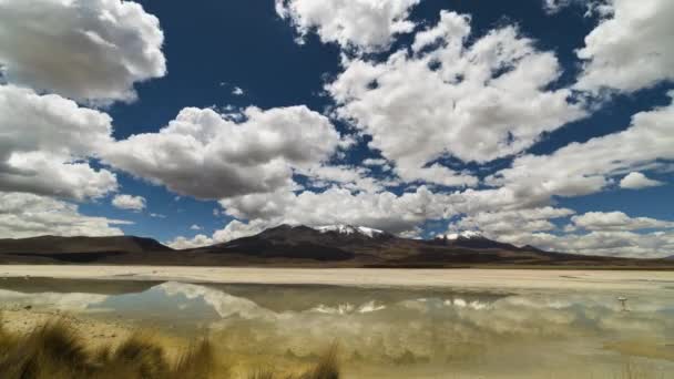 Laguna Verde Flamencos Bolivia Cielo Azul Con Nubes Tiempo Caducidad — Vídeo de stock