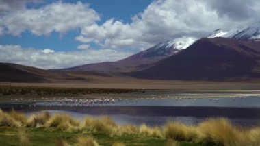 Laguna Verde ve Flamingolar. Bolivya 'da. Bulutlu Mavi Gökyüzü