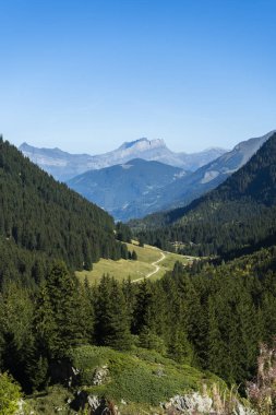 Dağlar, Fransız Alpleri 'ndeki tepelerdeki patikalar ve ormanlar. Pointe dAnterne Tepesi