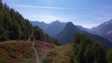 Mavi Ceketli Yürüyüş Adamı Sırt Çantası ve Yürüyüş Polonyalısı Sonbaharda Dağlarda Bir Patikada Yürüyor. Kırmızı çalılar. İtalyan Alpleri, İtalya. Hava görüntüsü. Drone İleri Uçuyor