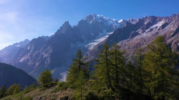 モンブラン山と木々 イタリアアルプス イタリア アリアルビュー バレーを明らかにする木の上にドローンフライ — ストック動画