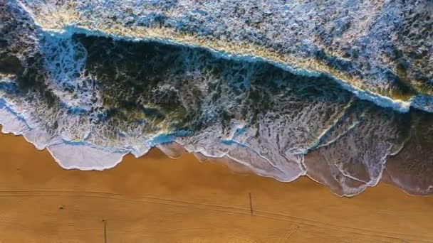 Nordstrand Und Atlantik Nazare Portugal Große Wellen Luftaufnahme Aus Dem — Stockvideo