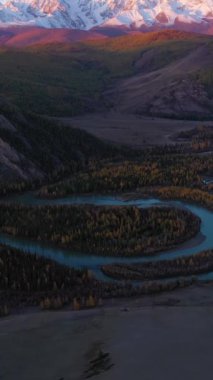 Kurai Steppe, Chuya Nehri Meander, Sonbaharda Sabah Alacakaranlığı 'nda Sarı Karaça ve Dağlar. Hava görüntüsü. Altai Dağları, Rusya. İnsansız Hava Aracı Yana Uçuyor, Eğil. Dikey Video