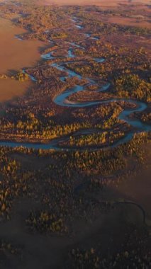 Kurai Steppe, Chuya Nehri, Sonbaharda Sunset 'teki Sarı Karaça ve Dağlar. Hava görüntüsü. Altai Dağları, Rusya. Şutu göster. Dikey Video