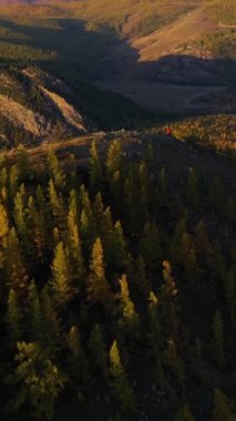 Kurai Steppe, Chuya Nehri, Sonbaharda Gündoğumunda Sarı Karaça ve Dağlar. Hava görüntüsü. Altai Dağları, Rusya. Şutu göster. Dikey Video