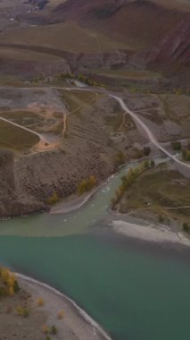 Sonbaharda Chuya ve Katun nehirlerinin birleşimi. Hava görüntüsü. Altai Dağları, Rusya. Şutu göster. Dikey Video