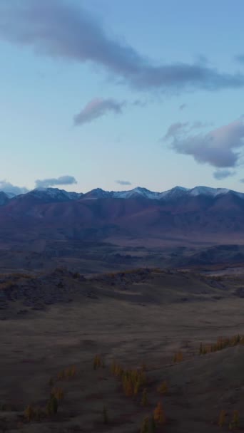 Kurai Steppe Kurai Mountain Ridge Bij Zonsondergang Gele Larches Het — Stockvideo