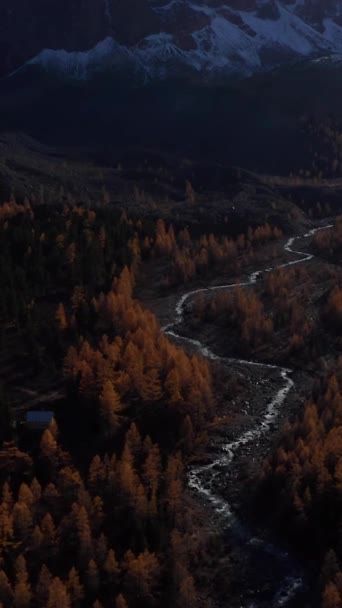 Monte Karatash Arcos Amarillos Valle Aktru Otoño Las Montañas Altai — Vídeos de Stock