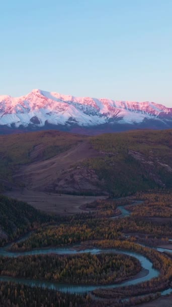Fotógrafos Kurai Steppe Chuya River Meander Yellow Larches Mountains Autumn — Vídeos de Stock
