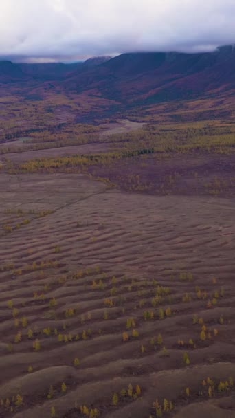 Giant Current Ripples Kurai Steppe Aerial View Altai Mountains Russia — Stock Video