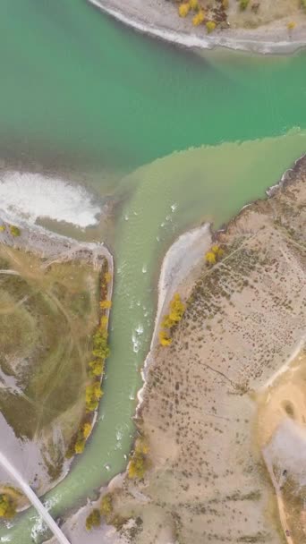 Συμβολή Των Ποταμών Chuya Και Katun Φθινόπωρο Αεροφωτογραφία Από Πάνω — Αρχείο Βίντεο
