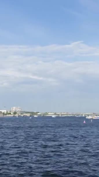 彼得和保罗福雷斯 三一桥圣彼得堡市在阳光明媚的夏日 俄罗斯 时间流逝的运动 垂直录像 — 图库视频影像