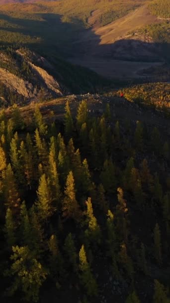 Kurai Steppe Chuya River Yellow Larches Mountains Autumn Sunrise Letecký — Stock video