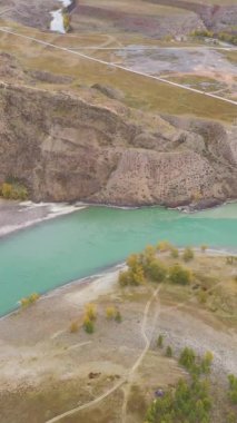 Chuya ve Katun nehirlerinin sonbaharda birleştiği yer. Hava görüntüsü. Altai Dağları, Rusya. İnsansız hava aracı yana doğru uçuyor. Dikey Video