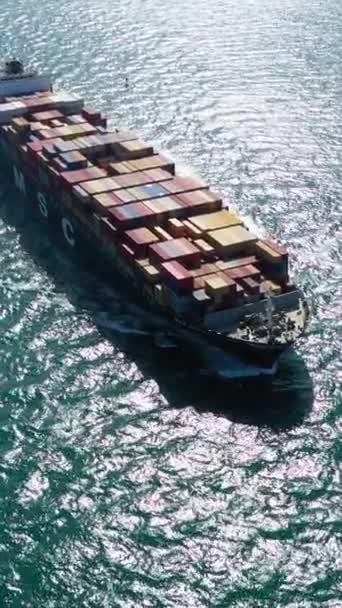 Mar Del Caribe Febrero 2021 Gran Barco Contenedores Mar Vista — Vídeo de stock