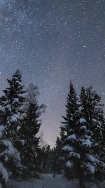 Kış Gecesinde Kozalaklı Ağaçların Üzerinde Samanyolu. Taganay Ulusal Parkı, Güney Urallar, Rusya. Zaman aşımı. Dikey Video