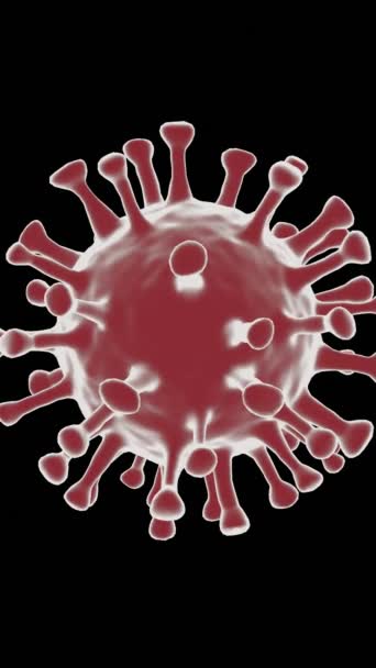 Coronavirus Desapareciendo Concepto Elimina Partícula Giratoria Roja Covid Acércate Vídeo — Vídeo de stock