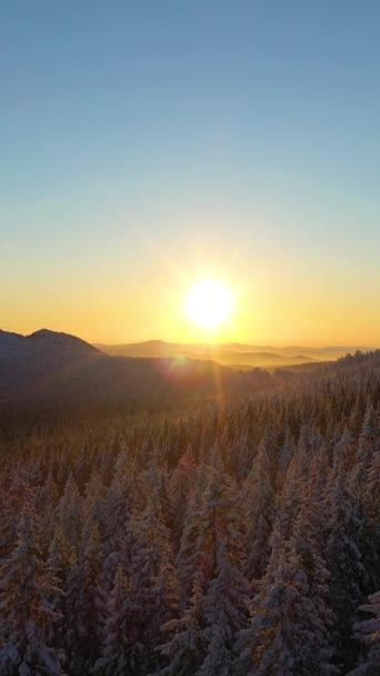 日落时分 德乌加瓦亚山和针叶林被白雪覆盖 空中景观 俄罗斯南乌拉尔的Taganay国家公园 垂直录像 — 图库视频影像
