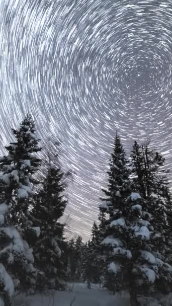 冬天的夜晚 银河覆盖了针叶树 俄罗斯南乌拉尔的Taganay国家公园 累积时间间隔 垂直录像 — 图库视频影像