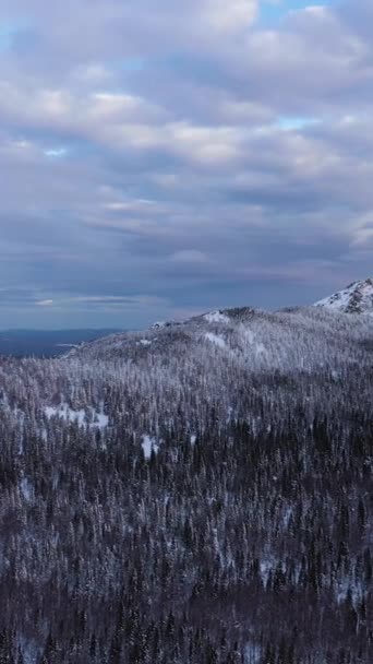 在一个多云的冬日 奥特科林奇山岭 克鲁格利萨山 米特基尼悬崖和针叶林 空中景观 俄罗斯南乌拉尔的Taganay国家公园 垂直录像 — 图库视频影像