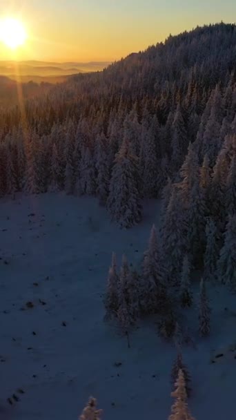 ドヴグラヴァヤ山と統一された森は日没に雪で覆われた アリアルビュー テガネイ国立公園 南ウラル ロシア ドローン フライズ サイドウェイ バーティカルビデオ — ストック動画