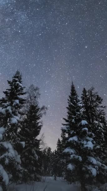 冬天的夜晚 银河覆盖了针叶树 俄罗斯南乌拉尔的Taganay国家公园 时间流逝 垂直录像 — 图库视频影像