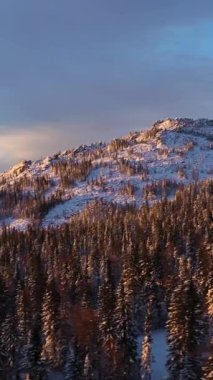 Dvuglavaya Tepesi ve Kozalaklı Orman Sabah Karla kaplı. Hava görüntüsü. Taganay Ulusal Parkı, Güney Urallar, Rusya. İnsansız hava aracı yandan uçuyor. Dikey Video