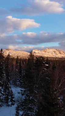Otkliknoy Dağı Sırtı, Mitkiny Kayalıkları ve Kozalaklı Orman Kış Sabahı. Hava görüntüsü. Taganay Ulusal Parkı, Güney Urallar, Rusya. Drone ileri ve yukarı doğru uçuyor. Dikey Video