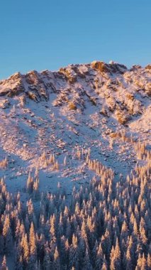 Otkliknoy Dağ Sırtı ve Kozalaklı Orman kışın Sunset 'te. Hava görüntüsü. Taganay Ulusal Parkı, Güney Urallar, Rusya. Drone geriye doğru uçuyor. Dikey Video