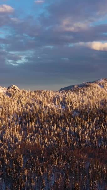 冬日清晨的奥氏山岭 密特基尼悬崖和针叶林 空中景观 俄罗斯南乌拉尔的Taganay国家公园 无人机向后飞去 垂直录像 — 图库视频影像